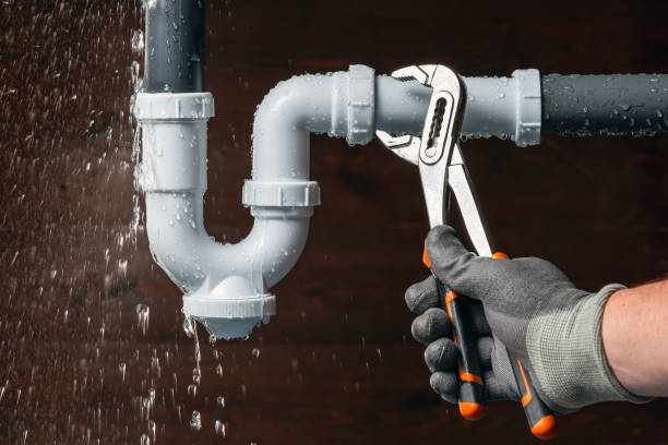 Professional Plumbing technician working in Walcott, IA